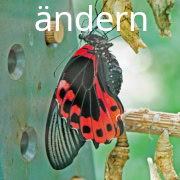 butterfly und ändern