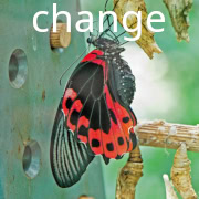 butterfly and change