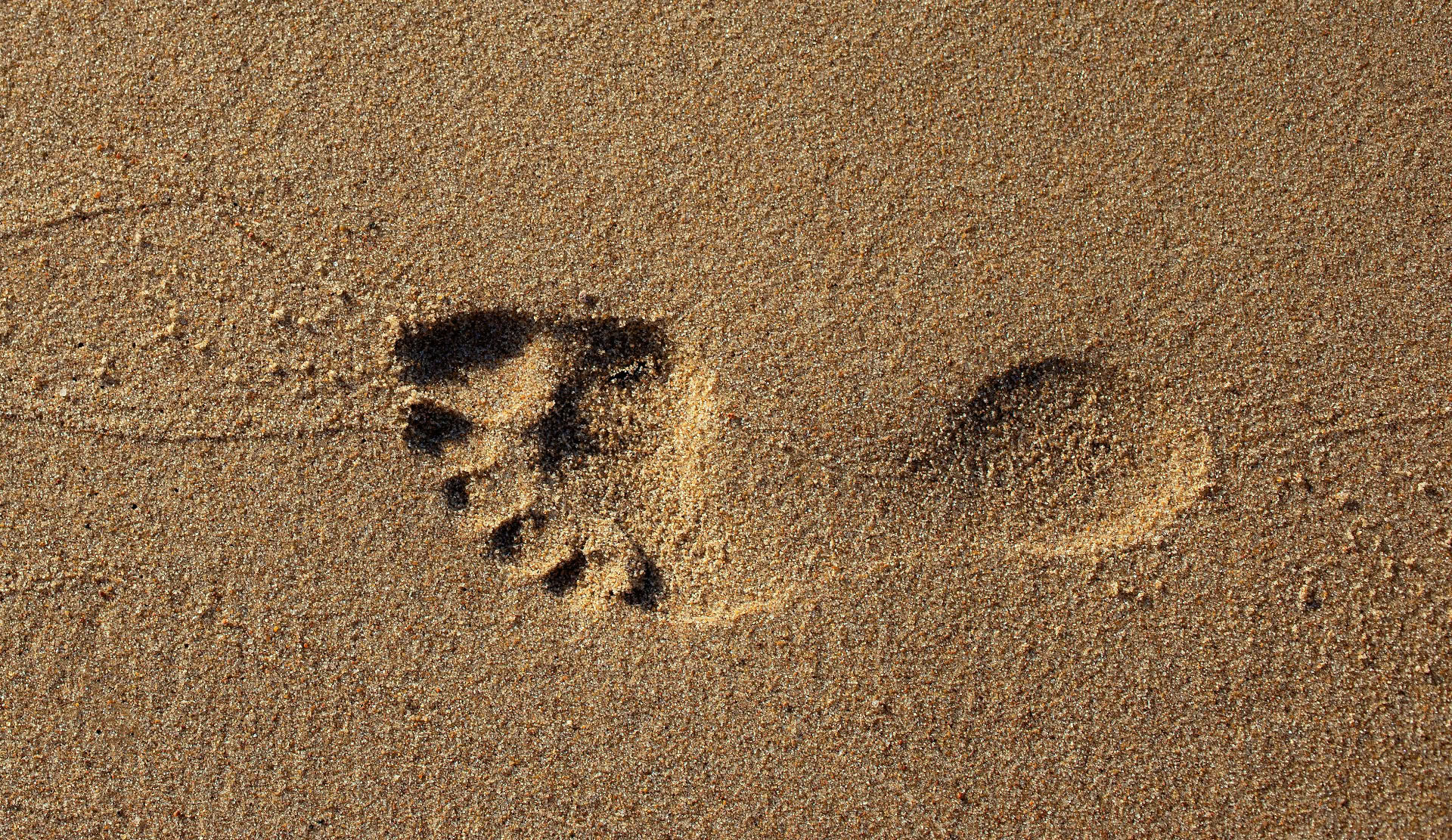 foot in sand