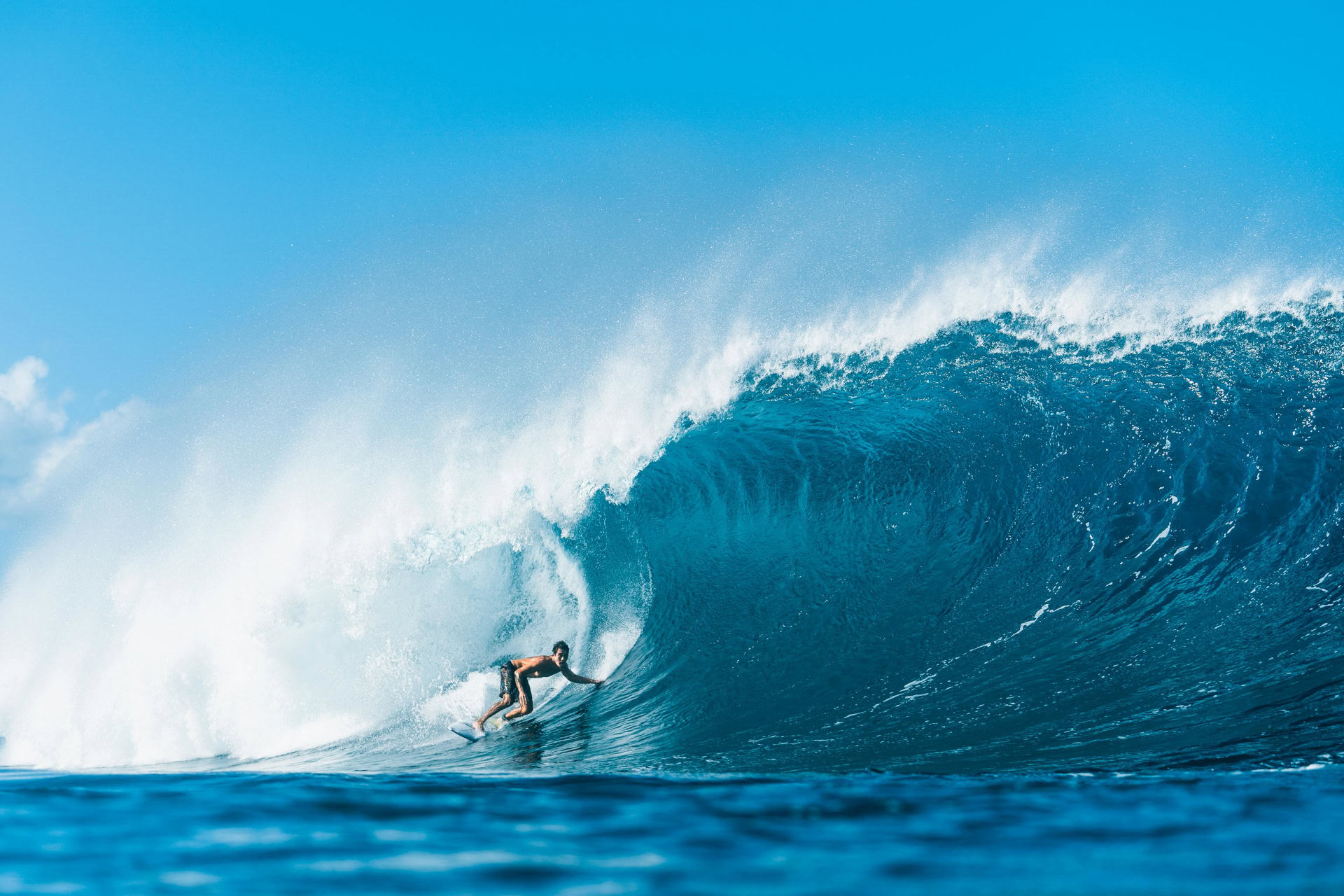 surfer_wave